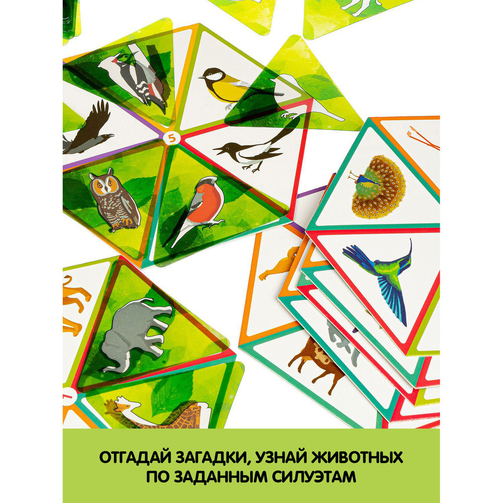 Приключения Пети и Оли. Силуэты — настольная игра от BondiBon : купить игру  Приключения Пети и Оли. Силуэты : в интернет-магазине — OZ.by