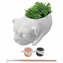 Набор для росписи кашпо 