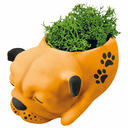 Набор для росписи кашпо 