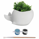 Набор для росписи кашпо 