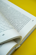 Почему мы помним — фото, картинка — 6