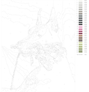 Картина по номерам 