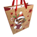 Пакет бумажный подарочный 