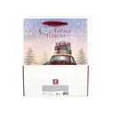 Пакет бумажный подарочный 