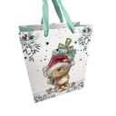 Пакет бумажный подарочный 