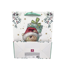 Пакет бумажный подарочный 