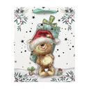 Пакет бумажный подарочный 