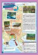 Чудеса природы. Заповедники и национальные парки мира. 3D-панорама — фото, картинка — 3