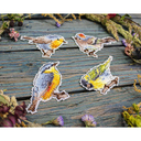 Набор для вышивания на пластиковой канве 