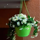 Цветочный горшок 