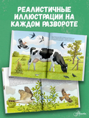 Животные рядом с нами — фото, картинка — 3