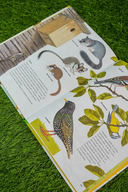 Животные рядом с нами — фото, картинка — 6