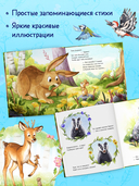 Важный день малышки Мышки — фото, картинка — 3