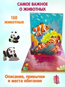 Животные. Pop-up панорамка с крупными буквами — фото, картинка — 1