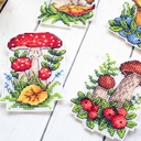 Набор для вышивания на пластиковой канве 