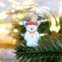 Набор прищепок декоративных 