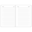 Ежедневник недатированный 