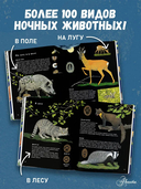 Ночные животные — фото, картинка — 2