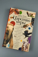 Царство игры — фото, картинка — 3