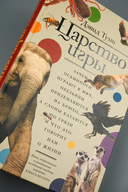 Царство игры — фото, картинка — 4