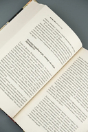 Царство игры — фото, картинка — 7