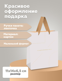 Пакет бумажный подарочный 