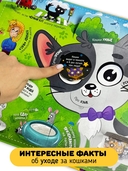 Смотри, кошка! — фото, картинка — 3