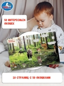 Животные. 50 окошек для малышей — фото, картинка — 2