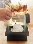 Сборная деревянная модель 