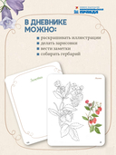 Акварельный лес. Ботанический дневник для любителей природы и акварели — фото, картинка — 2