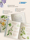 Акварельный лес. Ботанический дневник для любителей природы и акварели — фото, картинка — 3