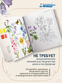 Акварельный лес. Ботанический дневник для любителей природы и акварели — фото, картинка — 7
