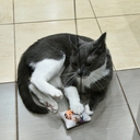 Игрушка для кошек 