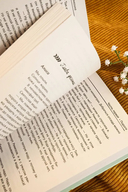 Любовь в Сочи, мопс и белые ночи — фото, картинка — 5