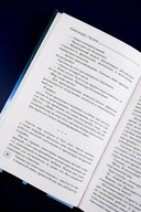 Гибрид. Протокол 