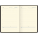 Ежедневник недатированный 