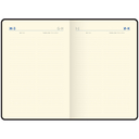 Ежедневник недатированный 