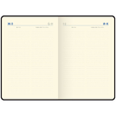 Ежедневник недатированный 