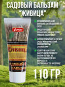 Бальзам садовый 