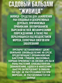 Бальзам садовый 