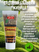 Бальзам садовый 