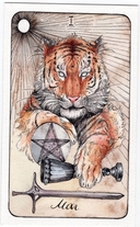 Дикое тёмное таро — фото, картинка — 1