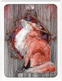 Дикое тёмное таро — фото, картинка — 3