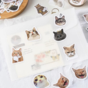 Набор наклеек 