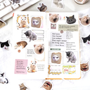 Набор наклеек 