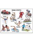 Виды спорта. Плакат — фото, картинка — 1