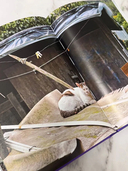 Современное искусство Кореи — фото, картинка — 2