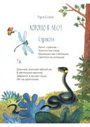 По лесным тропинкам — фото, картинка — 5