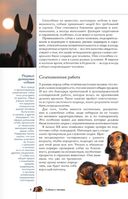 Собаки. Популярный иллюстрированный гид — фото, картинка — 2