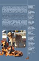 Собаки. Популярный иллюстрированный гид — фото, картинка — 3